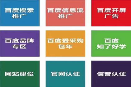百度竞价广告成功案例：如何实现ROI最大化